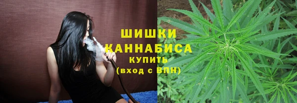 шишки Краснослободск