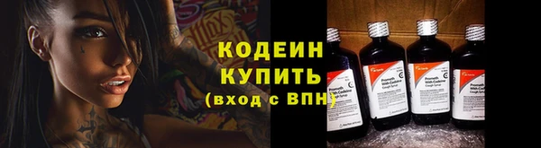 шишки Краснослободск