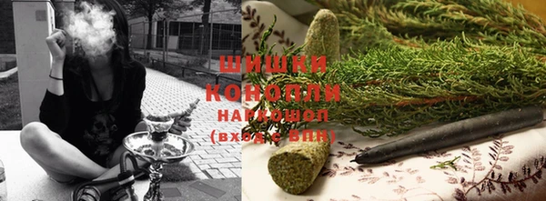 шишки Краснослободск