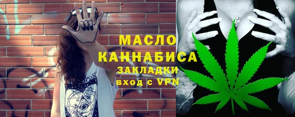 шишки Краснослободск