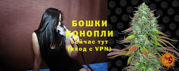 шишки Краснослободск