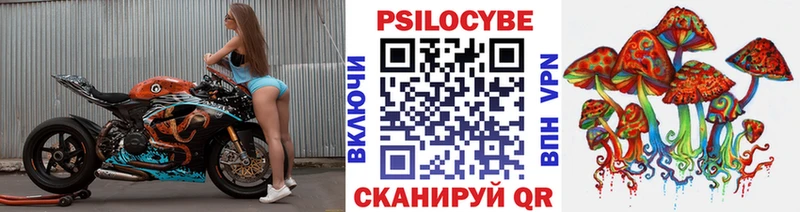 Галлюциногенные грибы Psilocybine cubensis  Северодвинск 